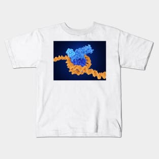 Histone methylation, molecular model, (F035/7250) Kids T-Shirt